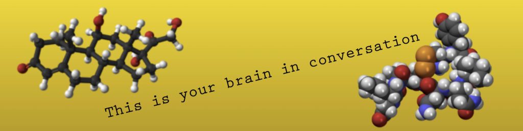 How Do Positive And Negative Interactions Change Your Brain?