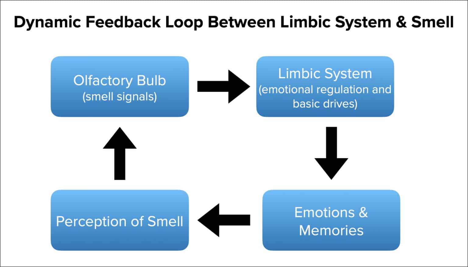 How Drama Impairs Your Sense of Smell - Next Element
